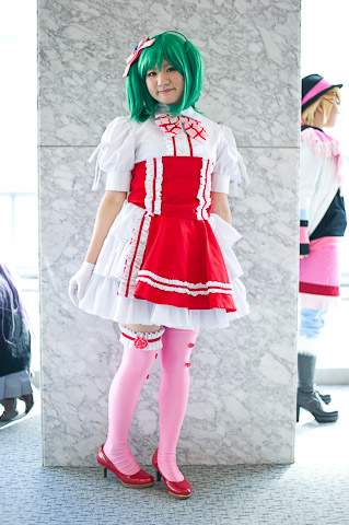 巴西：雪松价格多少钱一棵？都有哪些栽植要点？